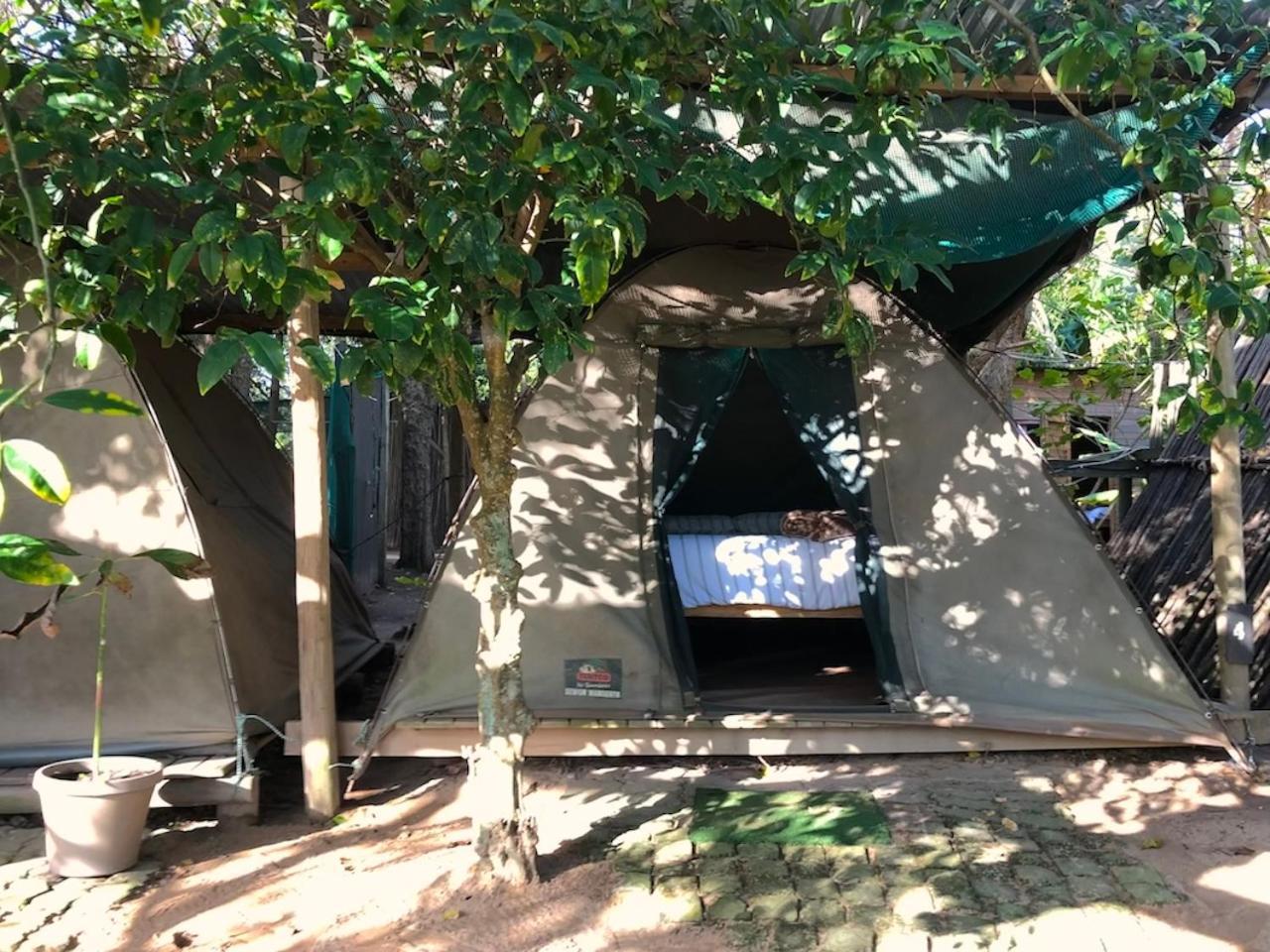 The Riverdeck Accommodation And Backpackers Knysna Eksteriør billede